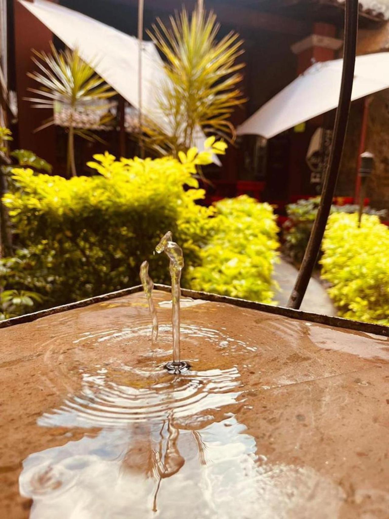 Hotel Boutique Tierra Magica Tequila Ngoại thất bức ảnh